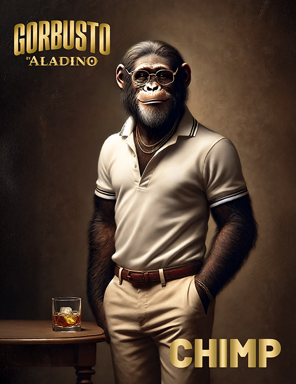 ALADINO GORBUSTO "CHIMP" - Imagen 2