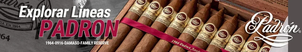 categoria_padron_web